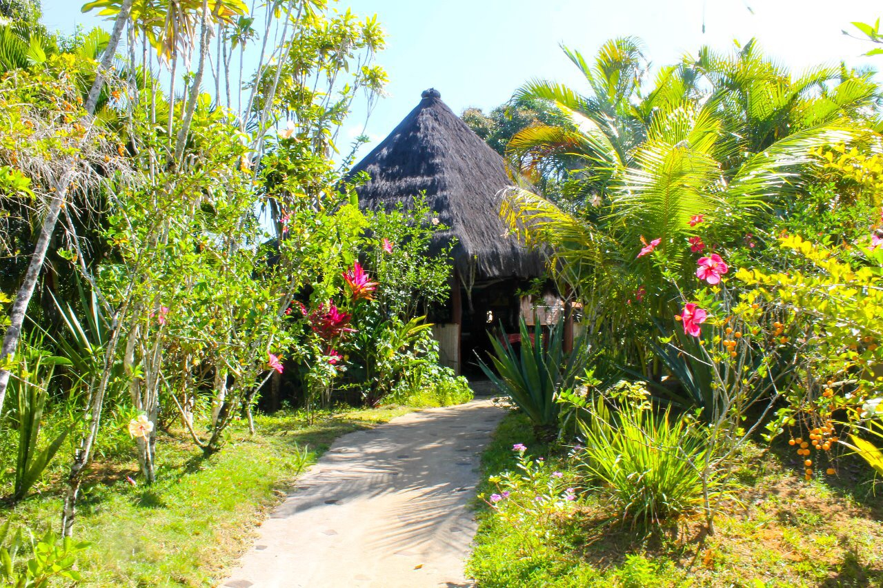Jardim tropical com caminho cercado de vegetação na Pousada Colibri